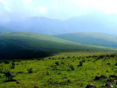 Tribal Tour Odisha